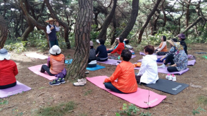 힐링으로 몸과 마음을 치유 하세요