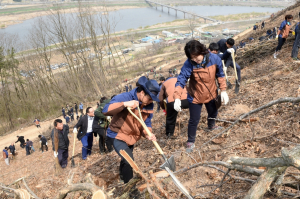 경주시, 강동면 국당리 임야에 산벚나무 9,000본 식재