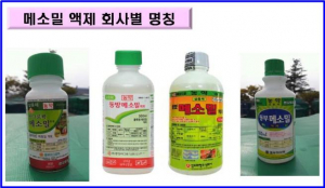 경주시,등록취소 고독성 농약 9종 일제 보상 수거 