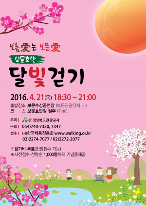 경북관광공사,연두빛으로 물든 경주 보문호반 밤길을 걸어요! 