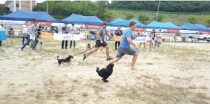 반려동물 축제를 통해 지역사회 기여