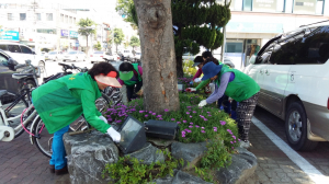 경주시 성건동, 새마을부녀회 가로수 주변 환경정비