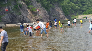 경주시,산내 동창천에 `어린 다슬기` 30만미 방류 