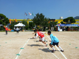 경주시 현곡면, 광복 제71주년 기념 면민체육대회 열려 