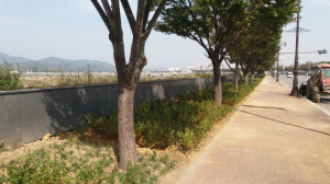 경주시, 사계절 꽃이 피는 `아름다운 경주` 조성 