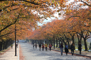 경북관광공사 ˝안전한 경주에서 보문호반 걷기행사가 개최됩니다.˝ 