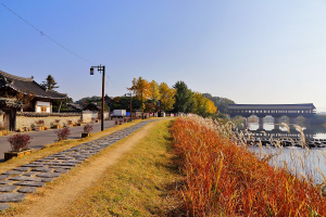 경주시, 만추의 계절!! 운치 가득한 경주의 5選 길 속을 거닐자. 