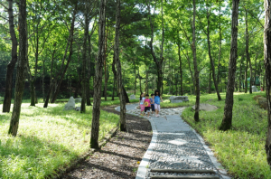 경주시, 자연 숲 속 힐링과 심신치유의 명소 ˝경주 토함산 자연 휴양림˝ 