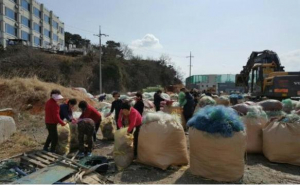 경주시 감포읍 오류1리, 봄맞이 감포항 주변 환경정비 