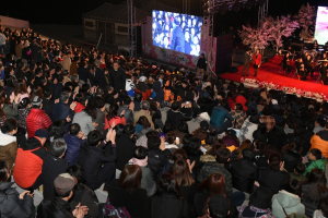 경주시, 생동하는 봄과 어우러지다. `제1회 경주벚꽃축제` 화려한 개막