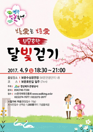 경북관광공사, 벚꽃 터널을 걷는 `보문호반 달빛걷기` 오는 9일 개최