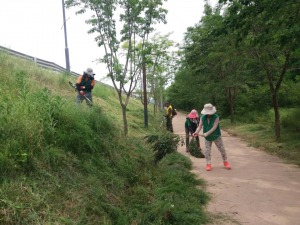경주시 강동면, 새마을협의회․부녀회 환경 정화활동 전개
