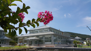 ˝경주동궁원에서 특색있는 여름휴가, 힐링바캉스를 즐겨보자!!˝ 
