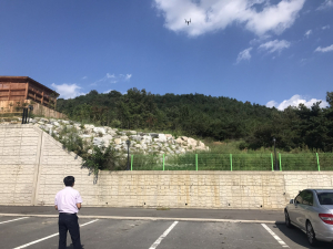 경주시, 소나무림 전역 소나무재선충병 예찰 강화 