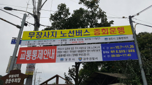 경주시 암곡동 `억새 군락지 무장봉` 노선버스 증회 운행