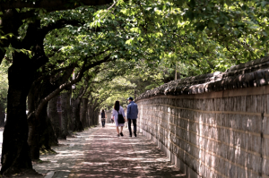 경주시, 추억과 낭만의 경주 대릉원 돌담길 `시가(詩歌)의 거리로 조성` 