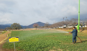 경주시, 첨성대. 동부사적지 등 꽃단지 수분공급 `주력` 