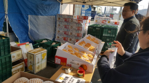 경주시 현곡면, 설 명절 선물의 안성맞춤 청정 ˝현곡배˝ 