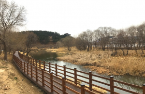 경주시 성건동, 형산강 수상테마공원 일원 새봄맞이 환경정비 