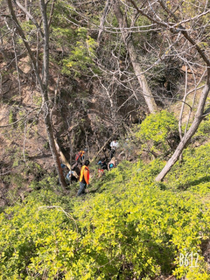 경주경찰서, 실종 할머니 24시간 만에 극적 구조 