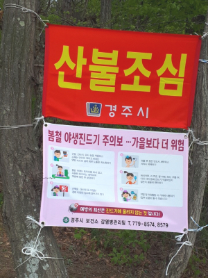 경주시, 봄철 야생 진드기 매개 감염병 예방 당부 