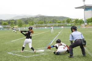 경주시,제2회 선덕여왕배 전국여자야구대회 4강 진출팀 확정 