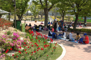 경주시 동궁원, 봄내음과 함께 마음 설레는 봄꽃 만발