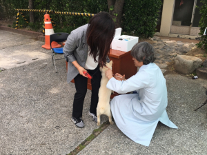 경주시, 광견병 무료 예방접종 