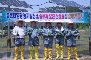 한수원, 영농형 태양광발전소 모내기 행사 열려 