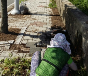 경주시 안강읍, 지역공동체 일자리사업 추진 
