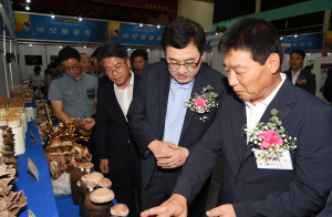 경주시 ‘제14회 경주 버섯 축제` 성황리 막내려