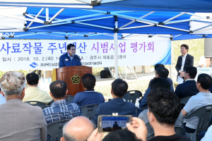 경주시, 논 이용 사료용 벼 생산으로 사료작물 자급률 향상 