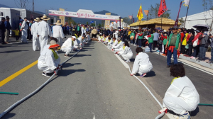 경주시 새마을회, 신라문화제 “첨성대 건축 재현 남산 거석˝ 읍면동 대항전으로 운반 