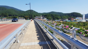 경주시 내남면 ˝내남면에 오시면 꽃길만 걸어요˝ 