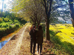 경주시, 명활산성~ 진평왕릉까지 뚝방길 `숨겨진 둘레길 명소`로 탄생 