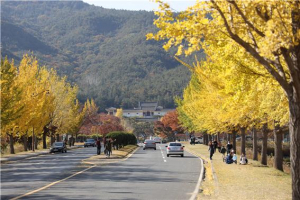 지금도 기억하고 있어요? 시월에 마지막 밤을