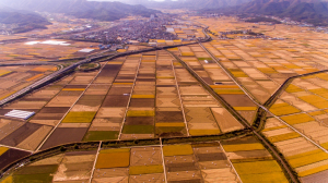 경주시, 식량산업 5개년 종합계획 수립 추진 