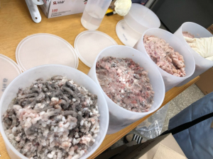 경주시, 4분기 수산물 방사능 분석 결과 허용기준 `만족` 
