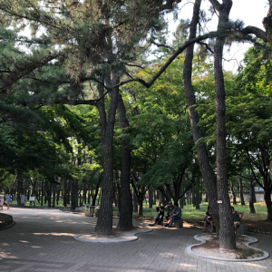 경주시 시설관리공단과 함께하는 설 연휴 특별한 `경주관광 즐기기` 