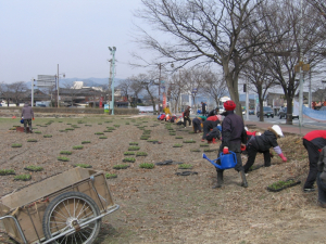 경주시, 사적지 녹지 및 꽃 단지 관리 기간제근로자 모집 