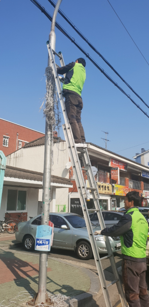 경주시, 가로수. 공공시설물에 묶인 끈 정비 