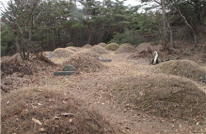 경주국립공원, 남산지구 분묘이장 신청자 모집 