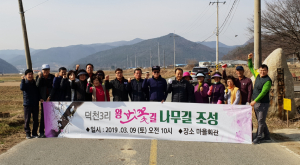 경주시 내남면, 덕천3리 마을회 도로변 왕벚꽃나무길 조성 