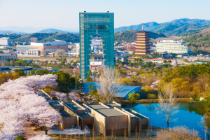 ˝경주세계문화엑스포로 떠나는 눈부신 봄꽃여행˝ 100년 된 벚꽃터널 
