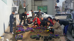 경주시 황성동 ‘아름다운 경주 만들기’ 꽃밭 조성 