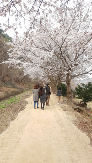 경주시 월성동, 명활성~숲머리~진평왕릉 둘레길 산책로 정비 