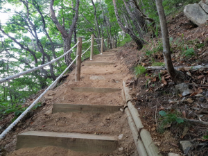경주시, 오봉산 등산로 정비 