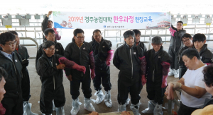 경주시, 농업대학 한우과정 인공수정 실습교육 
