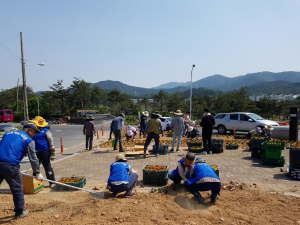 경주시 안강읍 바르게살기운동, 풍산 삼거리 교통섬 꽃밭 조성 