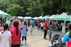 경주시, 제24회 세계환경의 날 ˝제13회 Beautiful 경주! 환경대축제˝ 